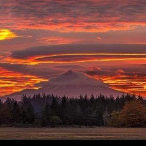 Meet your Posher, Anne